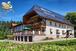 Gezellig familiehotel Landgasthof Schwanen in Hornberg, omringd door natuur, met traditioneel restaurant en terras in het Zwarte Woud.