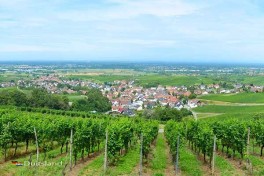 Wandelen en fietsen aan de Badische Weinstraße vanuit Gasthof zur Traube
